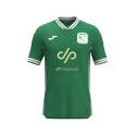 CAMISETA OFICIAL INTER JP FINANCIAL 26/27 VERDE